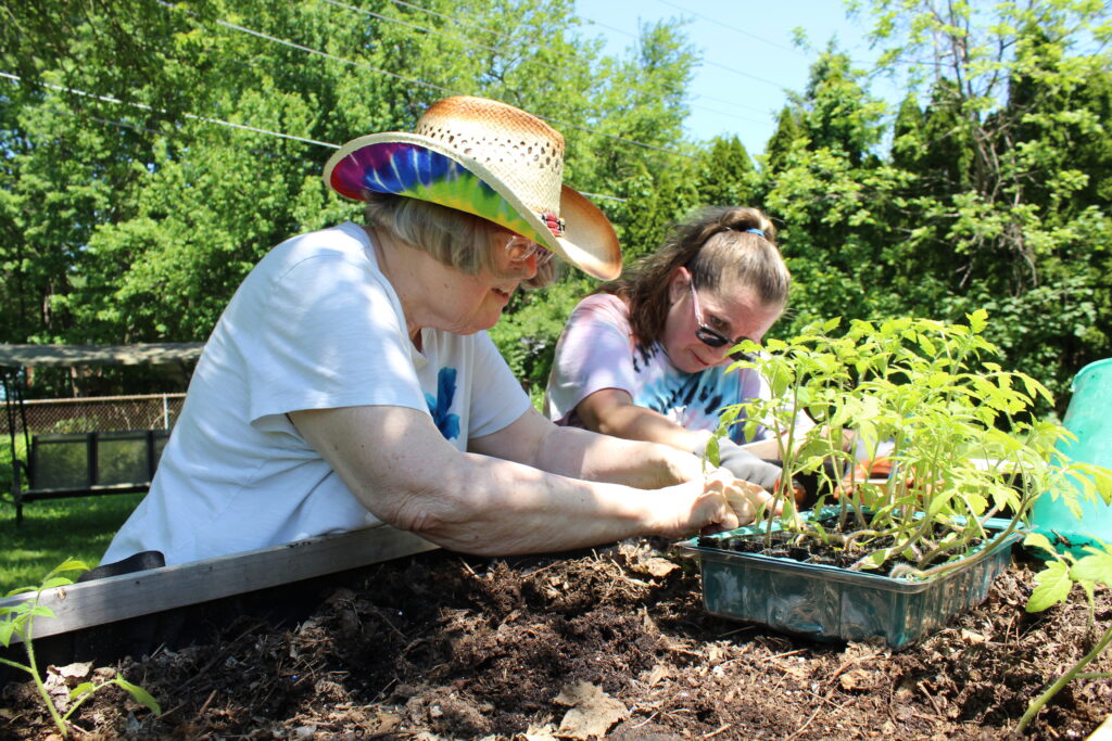 Volunteer works with older adult in her garden
