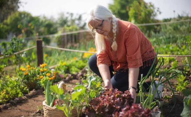 woman kneeling in a garden with a variety of plants around her